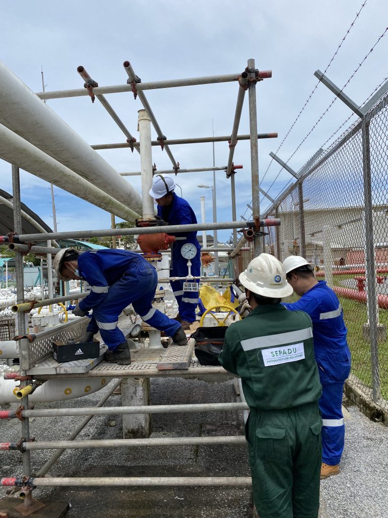 Sarawak Manpower Supply